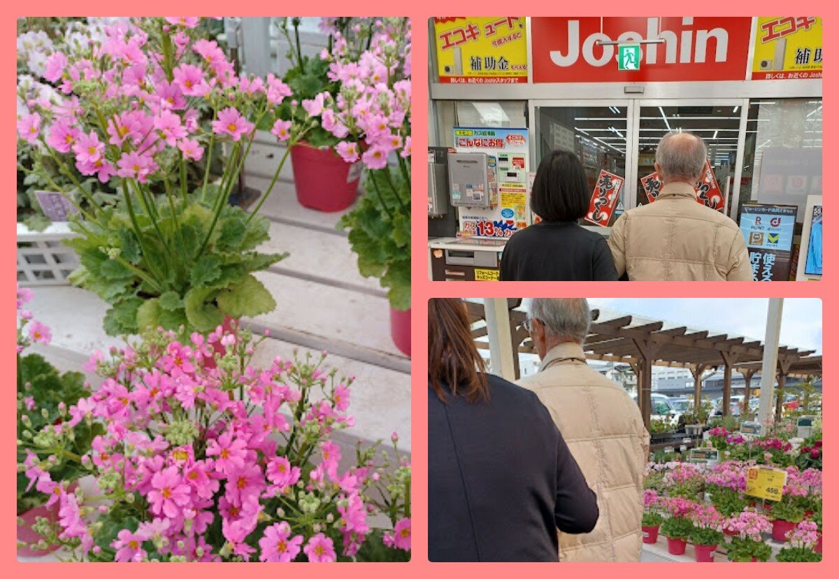 Fotoram.io - 2025-02-07T115443.325.jpg