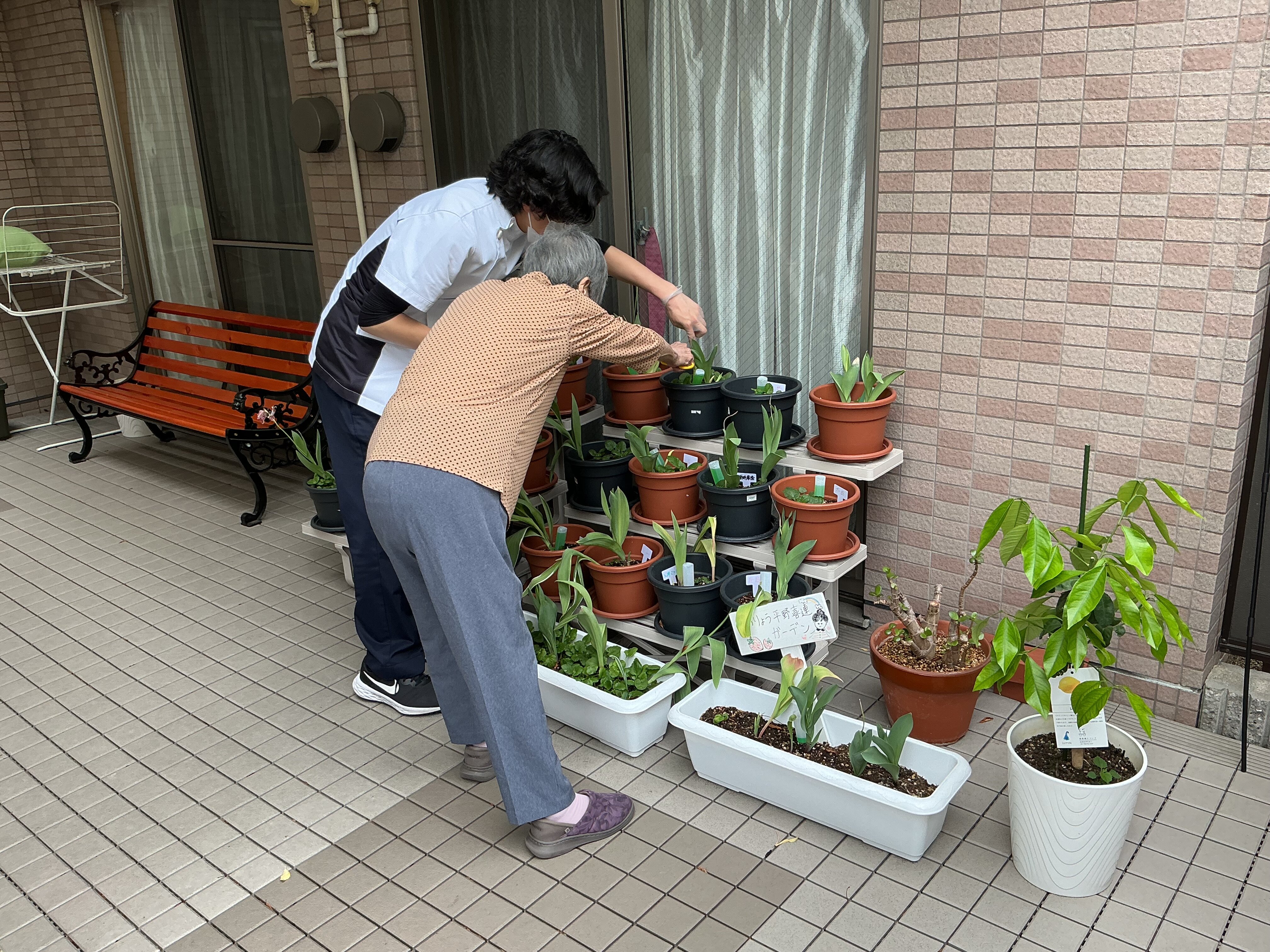 IMG_0307.jpeg