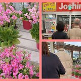 Fotoram.io - 2025-02-07T115443.325.jpg