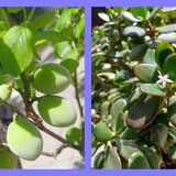 Fotoram.io - 2025-04-16T132714.904.jpg