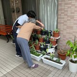 IMG_0307.jpeg