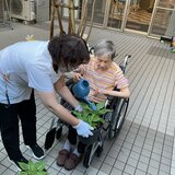 IMG_1256.jpeg