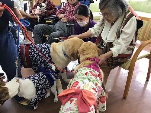 よしよしタイム (3).JPG