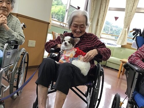 抱っこタイム (3).JPG