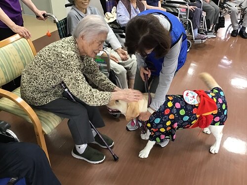 よしよしタイム (5).JPG