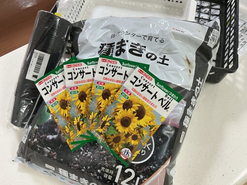 IMG_3125.jpeg