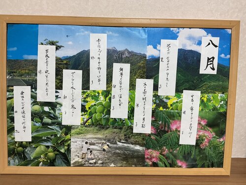 IMG_3727.jpeg