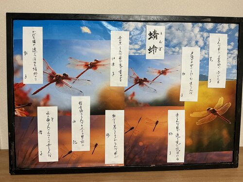 IMG_3959.jpeg