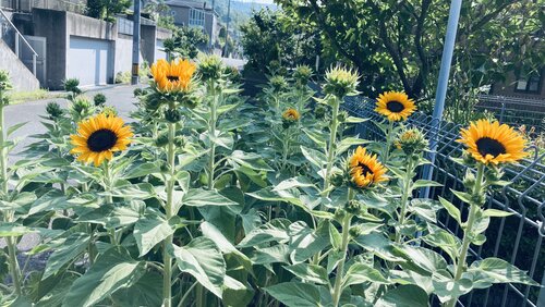 IMG_6270.jpeg