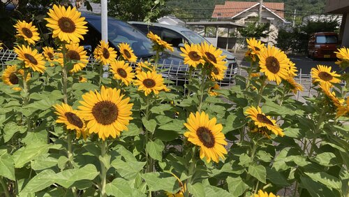 IMG_6310.jpeg