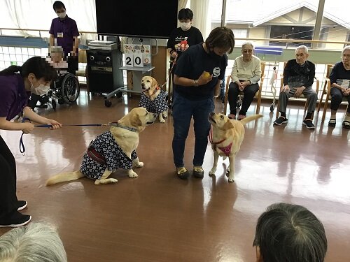 キャッチボール (2).JPG