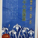 IMG_2972.jpeg