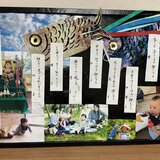 IMG_2984.jpeg