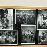 IMG_3304.jpeg