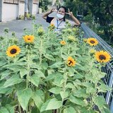 IMG_6274.jpeg