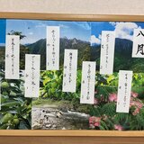 IMG_3727.jpeg