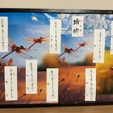 IMG_3959.jpeg