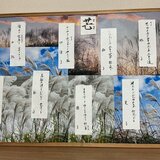 IMG_4141.jpeg