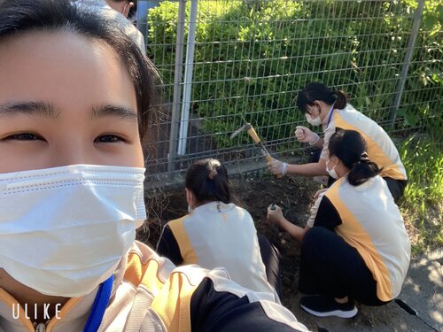 beauty_1780211898406.jpeg