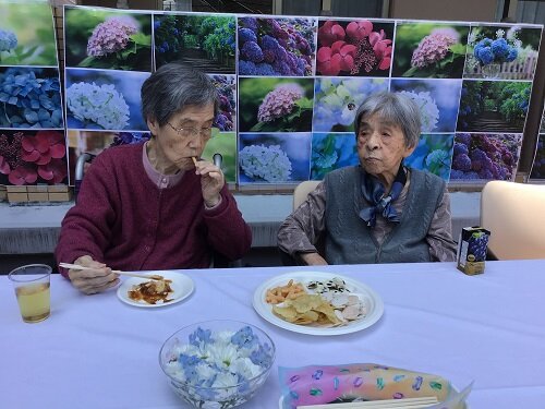 紫陽花テラス (6).JPG