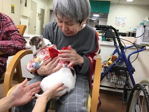 抱っこタイム (2).JPG