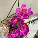IMG_1202.jpg