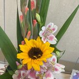 IMG_2061.jpg