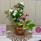 IMG_1381.jpg