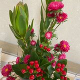 IMG_2525.jpg