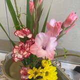 IMG_2598.jpg