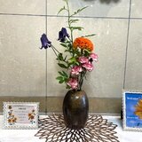 IMG_2729.jpg