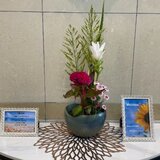 IMG_2984.jpg
