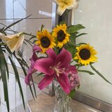 IMG_2782.jpg