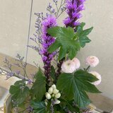 IMG_2822.jpg