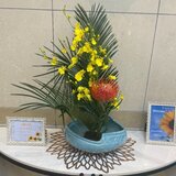 IMG_2938.jpg