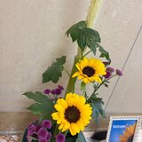 IMG_3141.jpg