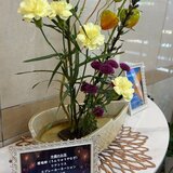 IMG_3271.jpg