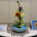 IMG_3576.jpg
