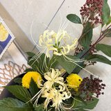 IMG_3972.jpg