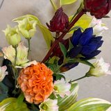 IMG_3736.jpg