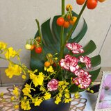 IMG_3766.jpg