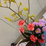 IMG_4109.jpg
