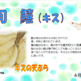 スクリーンショットキス 2024-05-20 171803.png