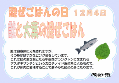 スクリーンショット 2025-11-24 143841.png