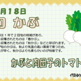 スクリーンショット 2026-04-21 122305.png