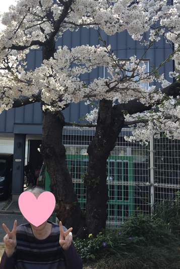 スクリーンショット 2026-04-06 104950.png