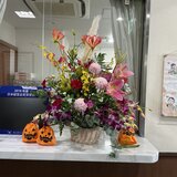 IMG_0004.JPG