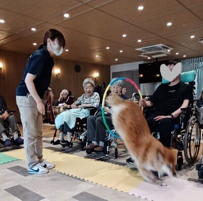 枠繰り.jpeg