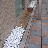 途中.jpeg