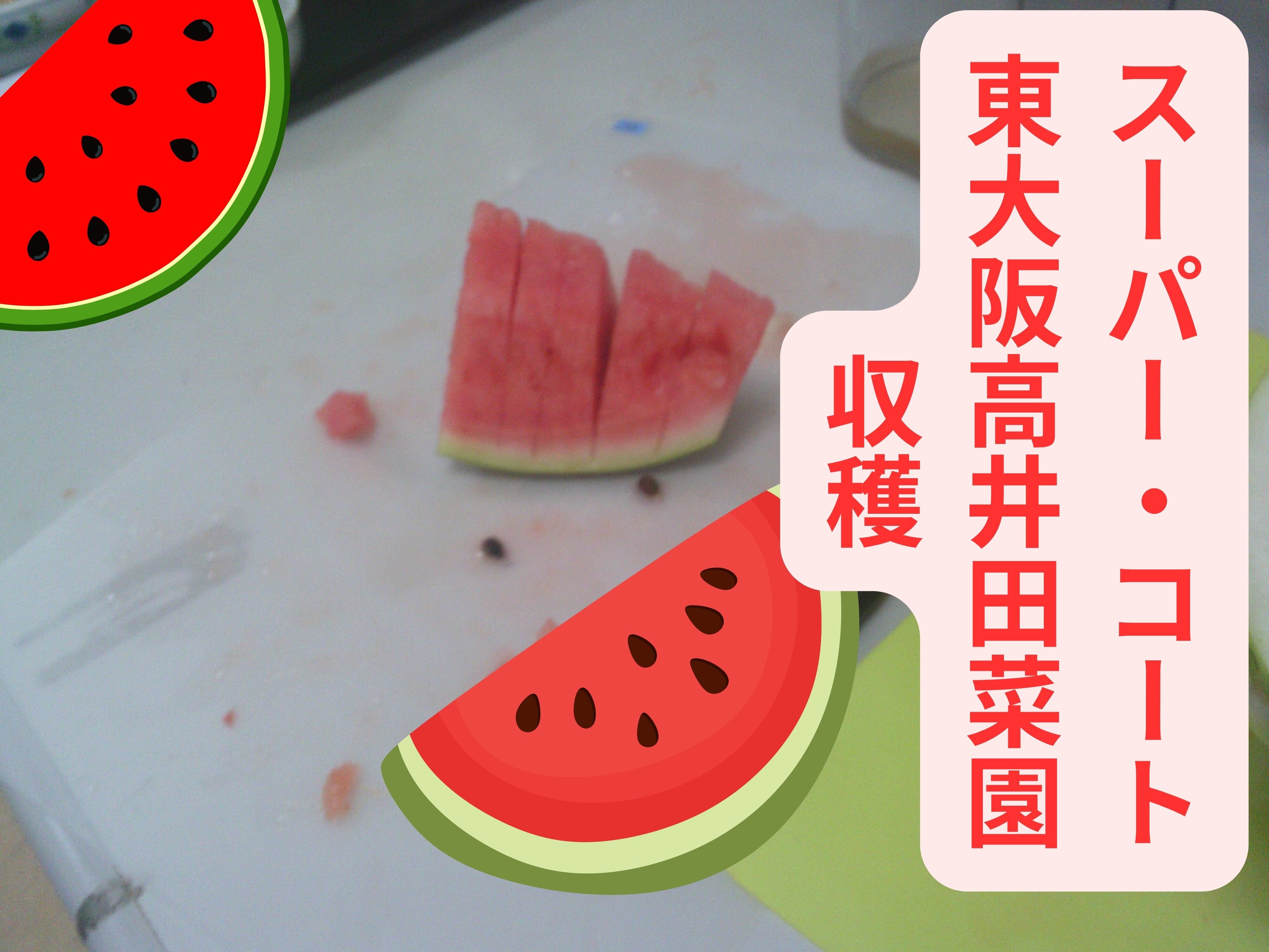 ブログ③.jpg